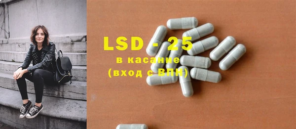 ГАЛЛЮЦИНОГЕННЫЕ ГРИБЫ Инсар