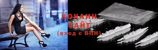ГАЛЛЮЦИНОГЕННЫЕ ГРИБЫ Инсар