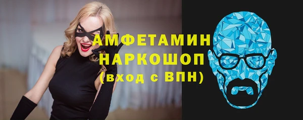 ГАЛЛЮЦИНОГЕННЫЕ ГРИБЫ Инсар