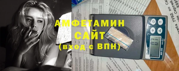 ГАЛЛЮЦИНОГЕННЫЕ ГРИБЫ Инсар