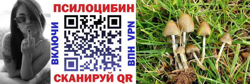 Купить  Нижнеудинск  Галлюциногенные грибы Cubensis 